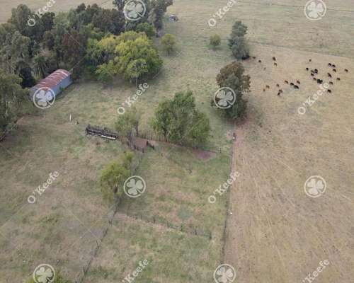 Campo en Venta de 227 Has en Ranchos. Mixto