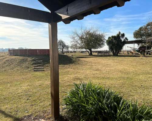 Monte Venta 370 Ha Agricolas a 1 Hora de Bsas