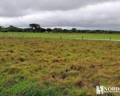 Aguará Grande, San Cristobal, Santa FE - 7.827 Ha