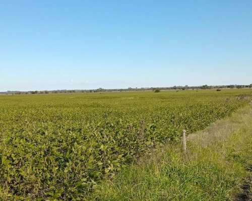 120 Ha en Don Cristobal. Campo Mixto