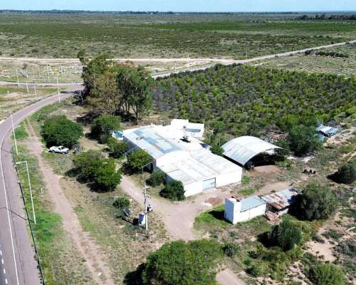 Finca Orgánica de 32 Sobre Ruta 7