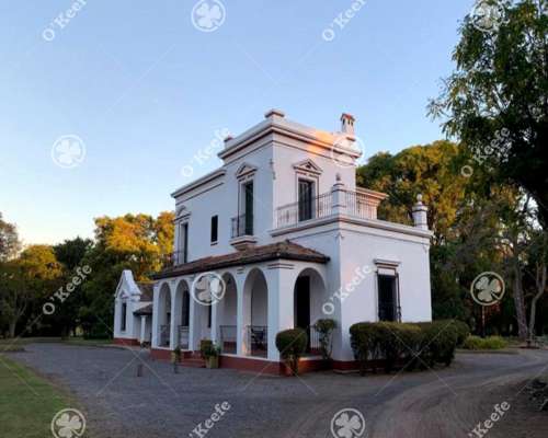Campo en Venta de 80 Has en Gualeguay, Entre Rios. Agricola.