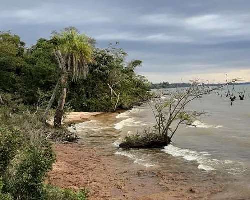 Chacra de 3.7 Ha Sobre Rio Paraná y Sobre Ruta. sin Mejoras.