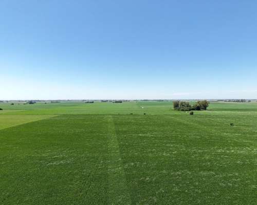 30 Ha Carabelas Agricolas