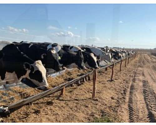 Comedero Bebedero Lineal Maquinarias Ibarrola Comedero Geome