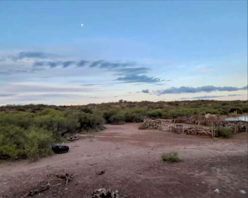 1110 Has en las Catitas, Mendoza