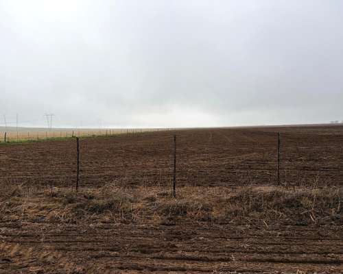 220 Ha Cabildo, Tornquist
