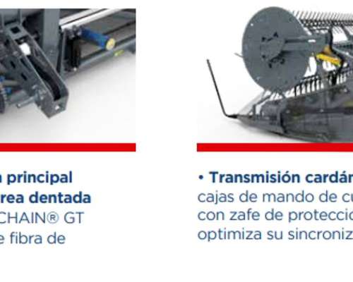 Piersanti de 25 a 45