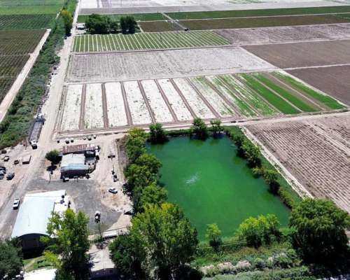 100 Ha los Alamos Beltran 3 Pozos