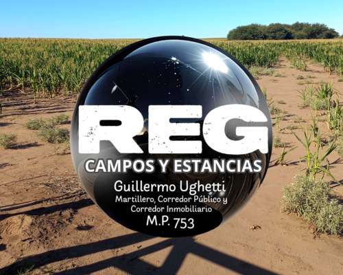 300 Has - General Pico, L.p.