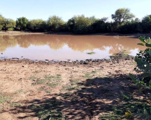 Chamical ( la Rioja) 786 Has