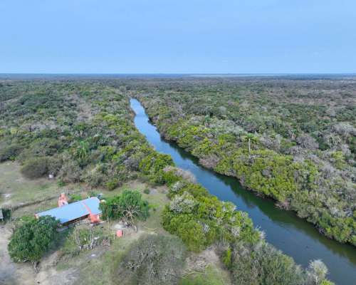 Pcia. de Corrientes - Curuzu Cuatia 14884 Has