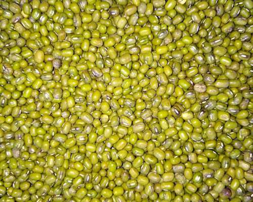 Soja, Maiz, Porotos, Legumbres, Cereales - Exportaciones