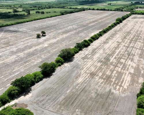 Ingeniero Forres, Robles, Santiago del Estero - 451 Ha