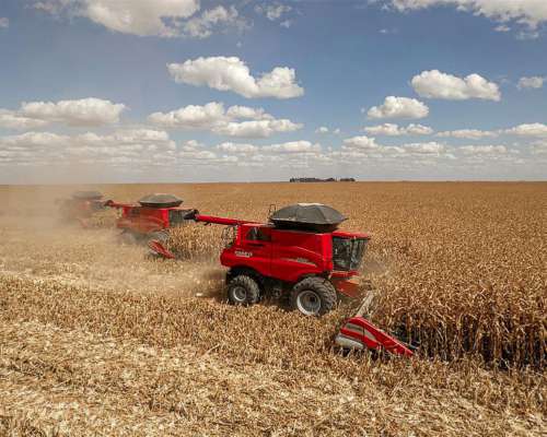 Cosechadoras Case Axial Flow Serie 250