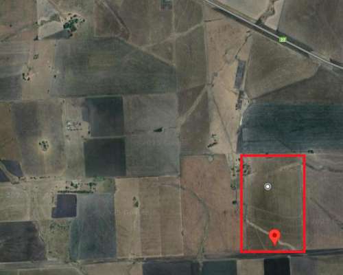 Campo Agricola Ganadero de 35 Hectareas