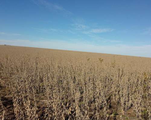 200 Ha Agricolas en Concepcion del Uruguay