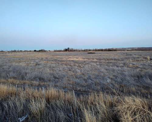Chacra Zona Gaiman Chubut 36 Ha con Casa