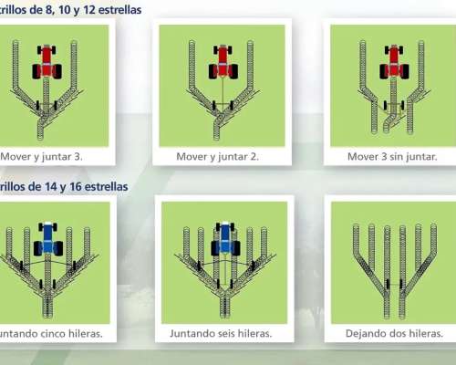 Rastrillo en V de 16 Estrellas Alser Anca