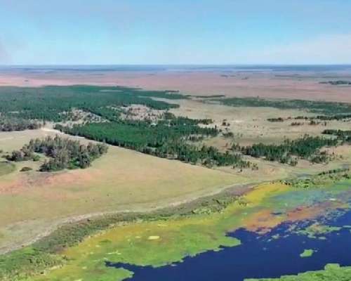 Campo en Venta en Santa Rosa-corrientes