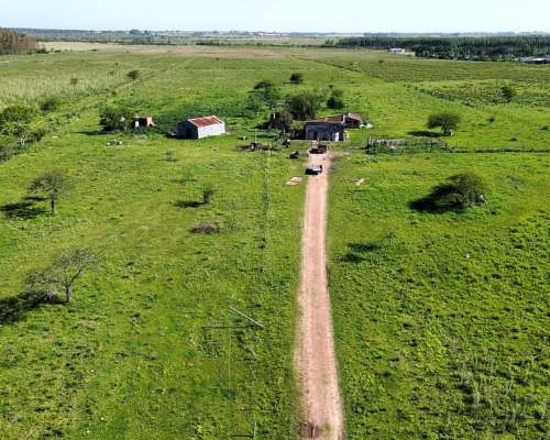 Vendo Campo 20 Has en Ruta 39 Concepción del Uruguay Entre R