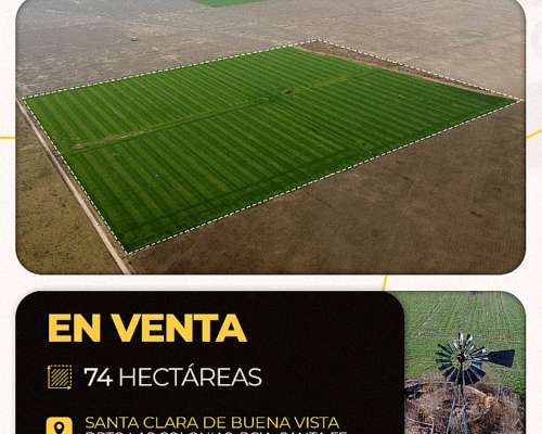 Santa Clara de Buena Vista 73 Has. Campo en Venta. Retasado