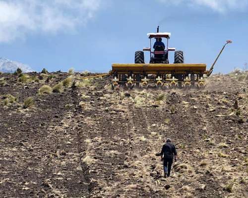 Pcia. de Catamarca - Singuil 5816 Has