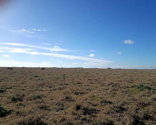 470 Ha Ganadero Chascomus