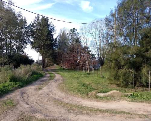 5 Ha Agrícola Mercedes BS AS