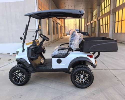 Golf Cart Electric Nexus 2/4/6 Asientos + Cajon