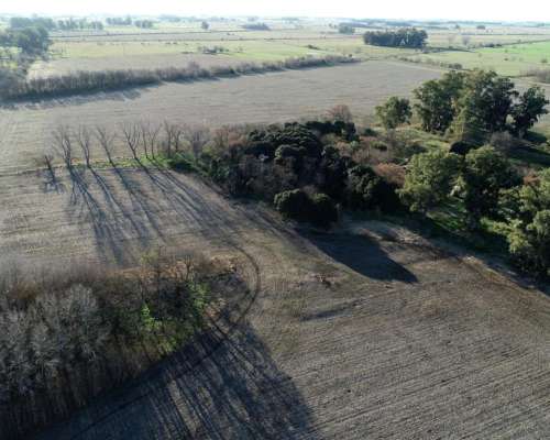 26ha en las Chacras