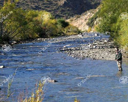 Campo en Venta de 486 Has Bariloche, Alto Rio Chubut