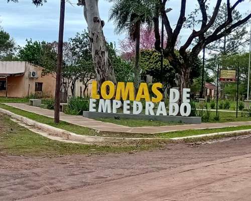 Oportunidad Productiva / Campo Disponible