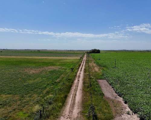 68 Has Mixtas - 56 Has Agrícolas - SA Pereira - las Colonias