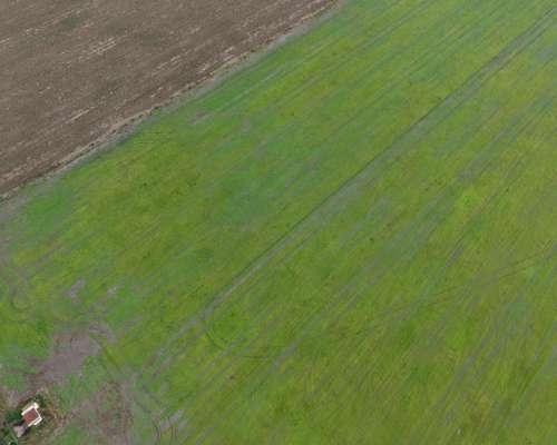 51 HA. Agrícola. el Trebol (santa FE)