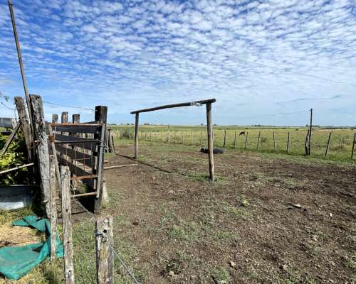 Chacra 8 Hectáreas Concepción del Uruguay