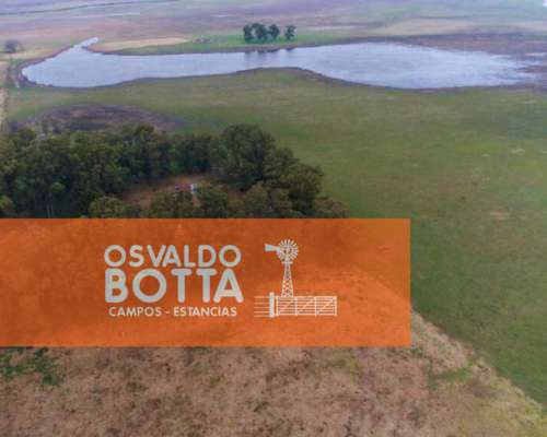 450has Mixtas en Bolivar, Buenos Aires