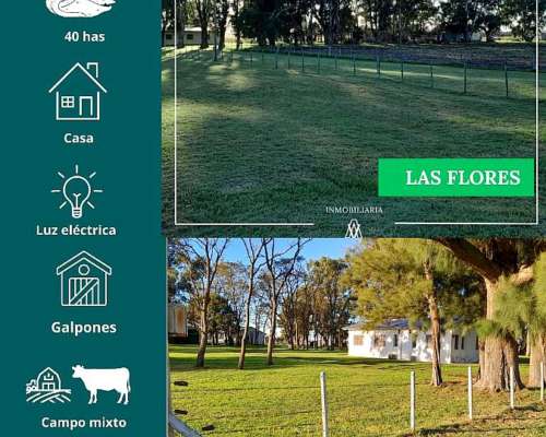 Campo en las Flores 40 Has