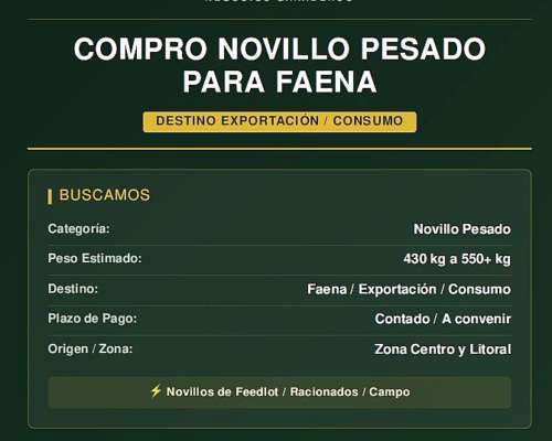Compro Novillo Pesado para Faena