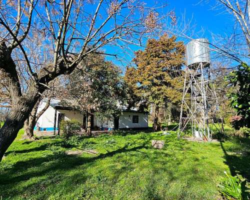 71 Has. Campo Agrícola con Mejoras y Arboleda en Torres