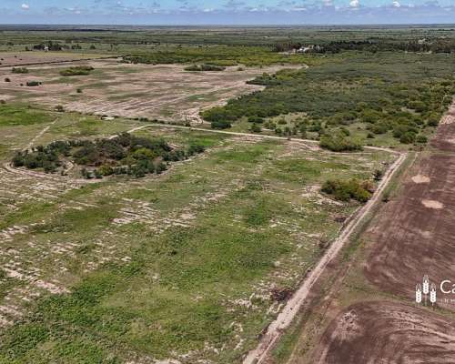 Venta Campo de 53 Has. Lindera a Zona SUB Urbana de Tostado