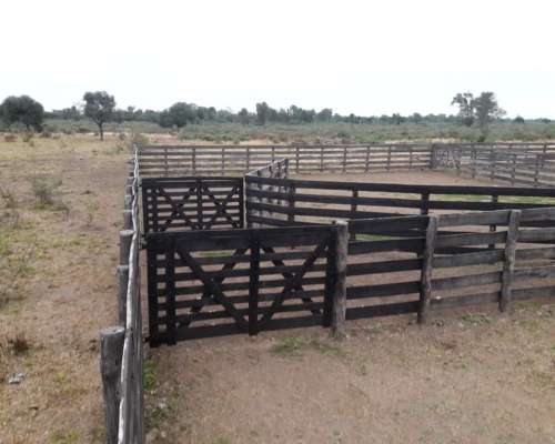 Vendo Campo en el Chaco Agricola -ganadero