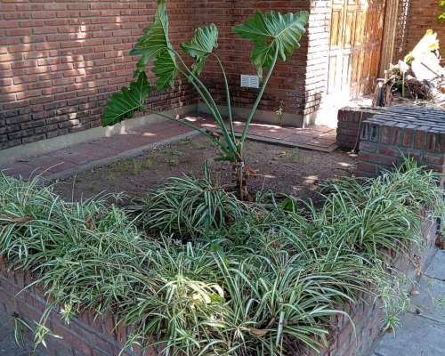 Servicio de Parques y Mantenimiento en General