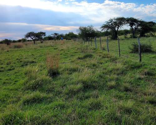 Venta de 25 Has en Mercedes (corrientes) en Zona Urbana