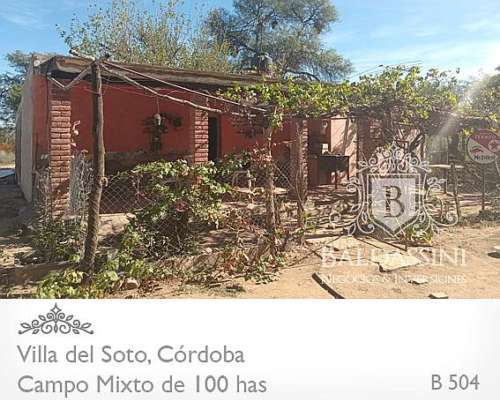 Campo Mixto - Villa del Soto - Córdoba - 100 Has