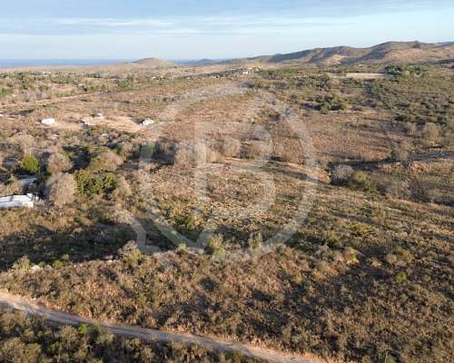 Terreno de 4 Ha en Falda del Carmen- con Arroyo, Casa