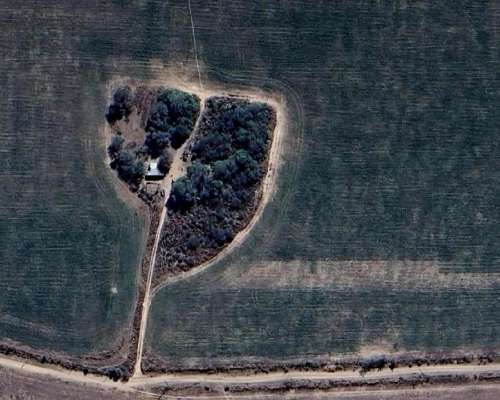 25 Ha Agrícolas Premium Luz, Pozo y Pago Adelantado la C