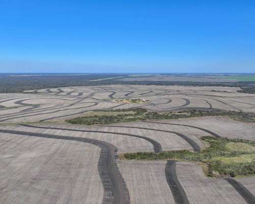 Pcia. de Entre Rios - San Jose de Feliciano 1960 Ha