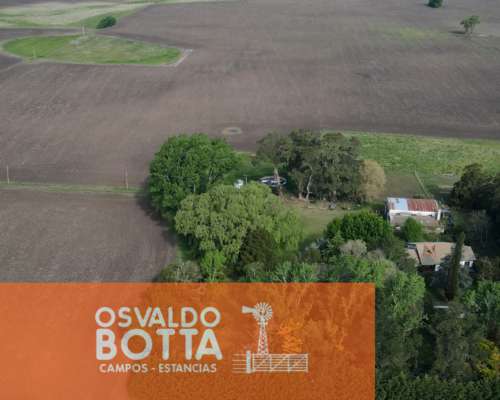 Campo Mixto en Venta 103 Has en Miramar, Buenos Aires