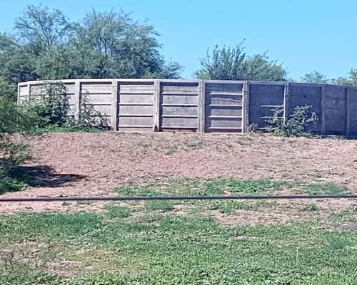 Vendo 2 Estancias Ganaderas Produciendo